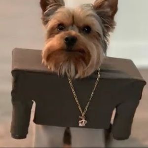 Meet your Posher, James